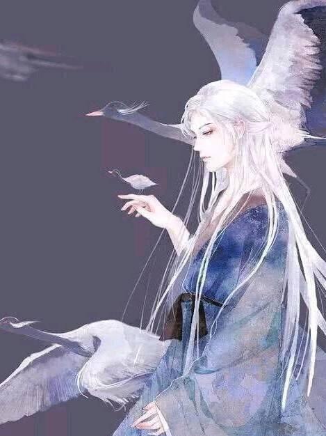 病美人的白月光师尊［穿书］封面