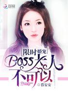 限时婚宠：BOSS大人，不可以封面