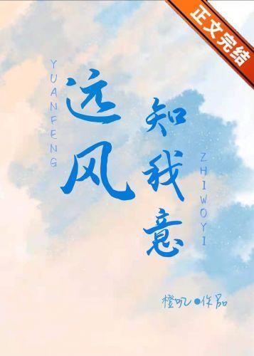 远风知我意封面