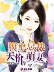 腹黑总裁天价萌妻封面