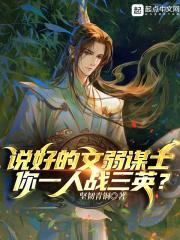 说好的文弱谋士，你一人战三英？封面