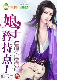 腹黑小妖精：娘子，矜持点！封面