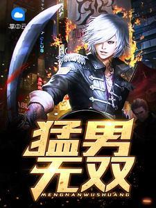 猛男无双封面