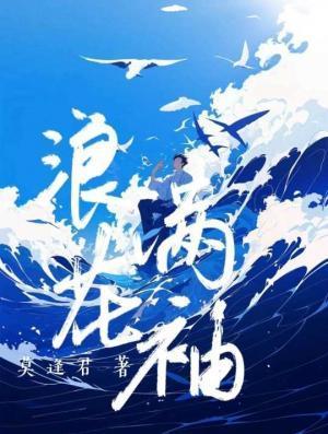 浪花满袖封面
