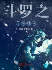 斗罗之龙魂归一封面