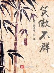 笑傲不群封面