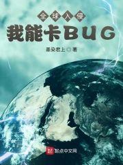 全球入侵：我能卡BUG封面