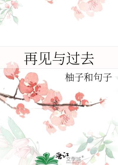 再见与过去封面