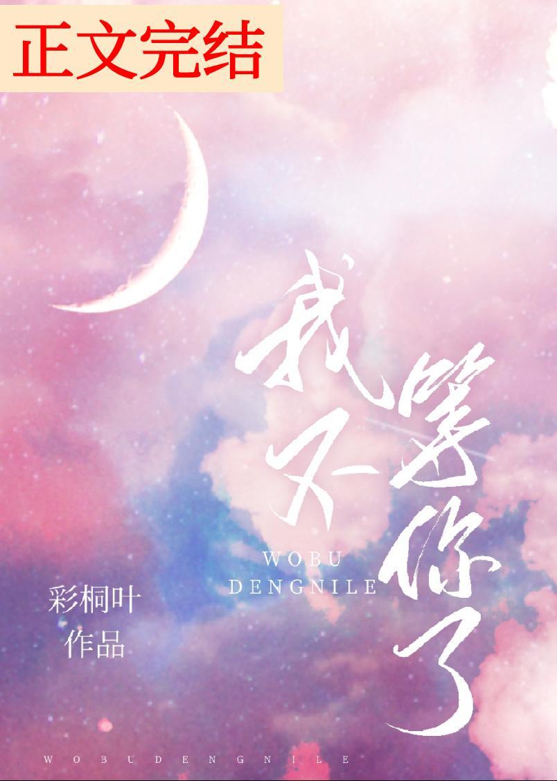 我不等你了封面