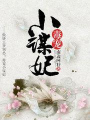 毒宠小谋妃封面