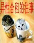 异性合租的激情往事封面