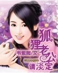 狐貍老公请淡定封面