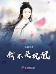 我不是凤凰封面