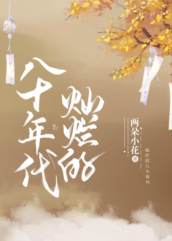 灿烂的八十年代封面