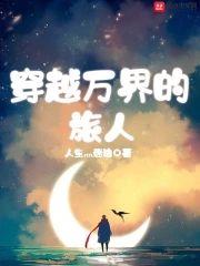 穿越万界的旅人封面