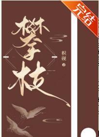 我攀上了失忆世子的高枝封面