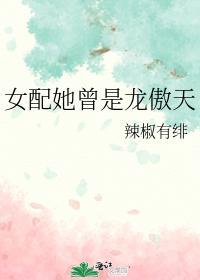 女配她曾是龙傲天封面