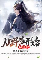 从野草开始的进化封面