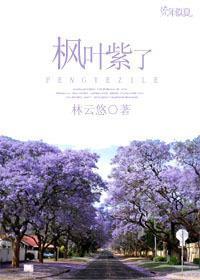 枫叶紫了封面