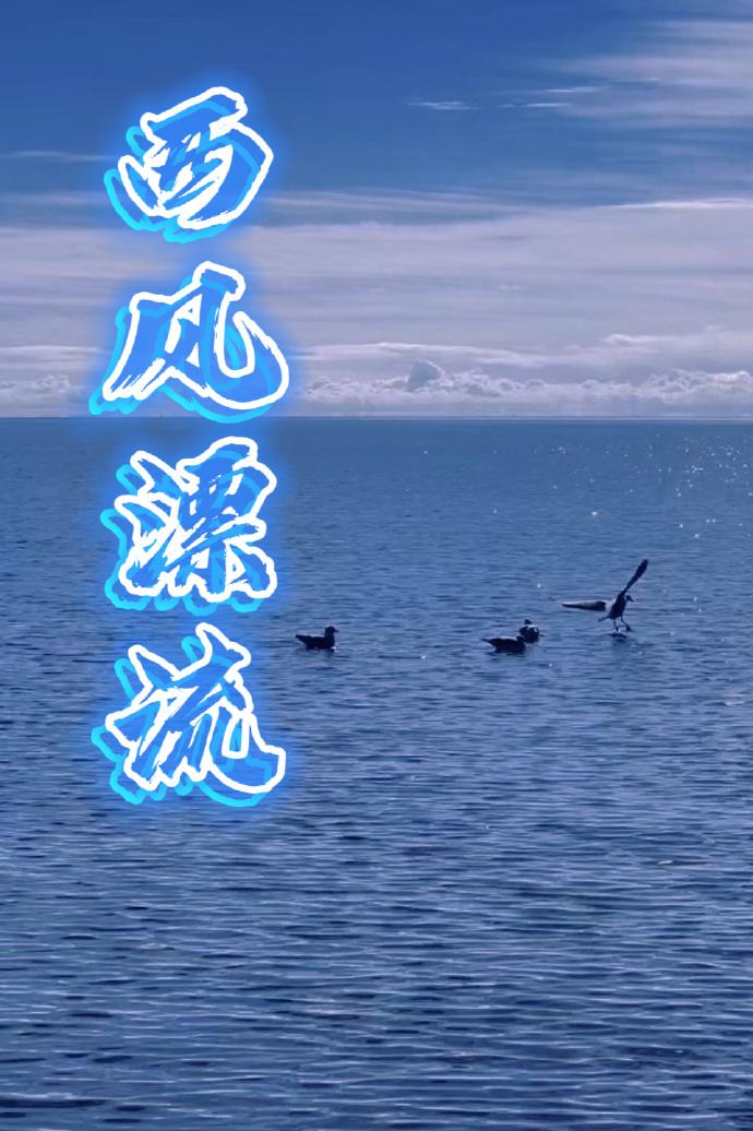 西风漂流封面