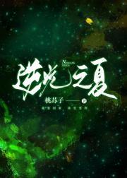 逆光之夏封面