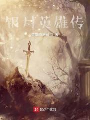 银月英雄传封面