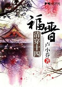 清穿十四福晋封面