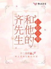 齐先生和他的打脸小姐封面