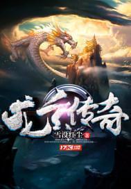 龙玄传奇封面