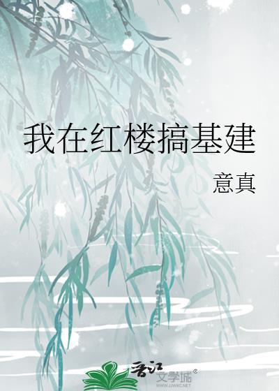 我在红楼搞基建封面