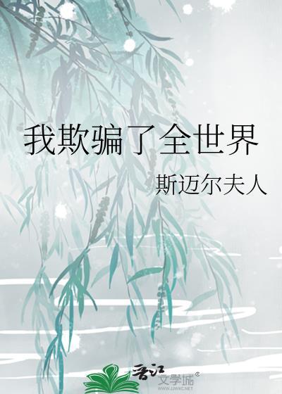 我欺骗了全世界封面