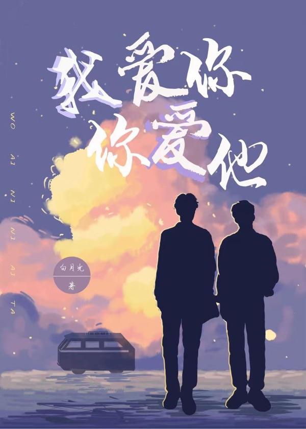 我爱你你爱他封面