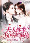 夫人你家boss超偏执封面
