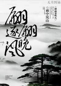 翩翩逐晚风封面
