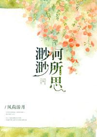 渺渺何所思封面