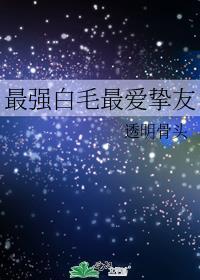 最强白毛最爱挚友封面