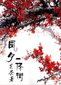 风月一条街封面