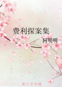 费利探案集封面