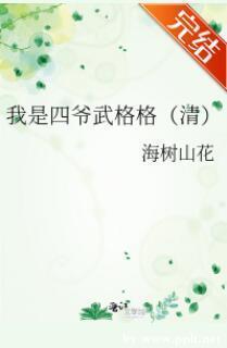 我是四爷武格格（清）封面