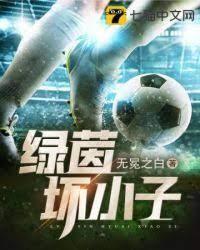 绿茵坏小子封面
