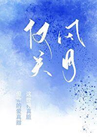 仅关风月封面