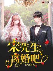 宋先生，离婚吧封面