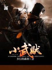 小武贼封面