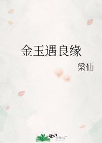 金玉遇良缘封面