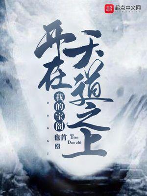 我的宝阁开在天道之上封面