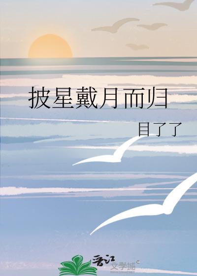 披星戴月而归封面