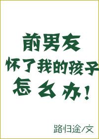 前男友怀了我的孩子怎么办封面