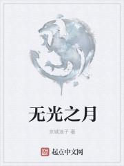 无光之月封面