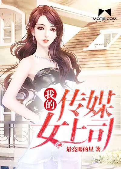 我的传媒女上司封面