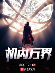 机内万界封面
